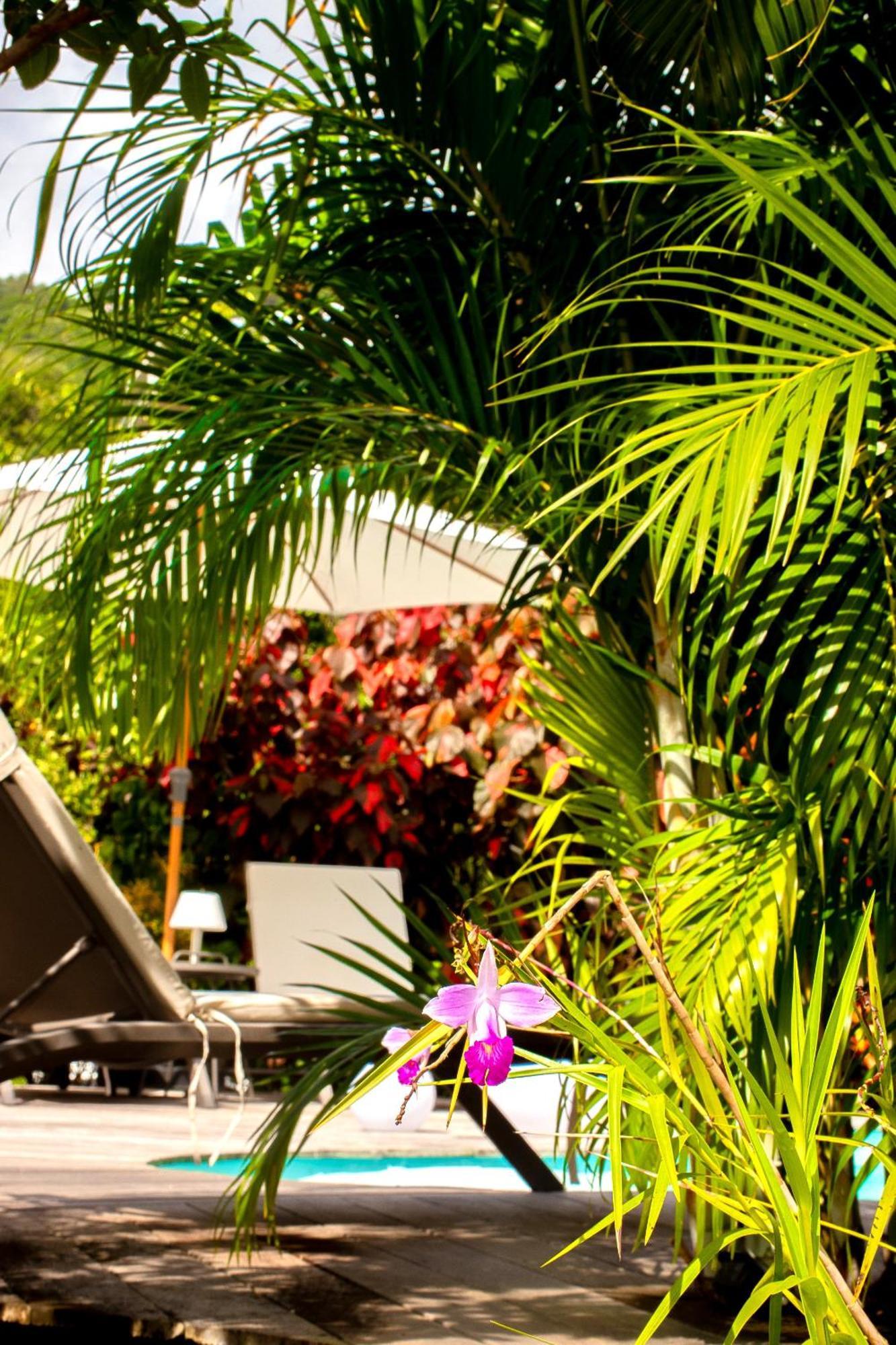 La Villa Baie Du Marin Le Marin Exterior foto